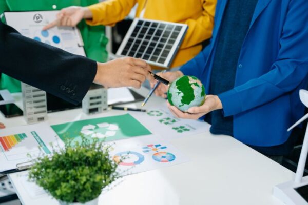 Energy Consultancy