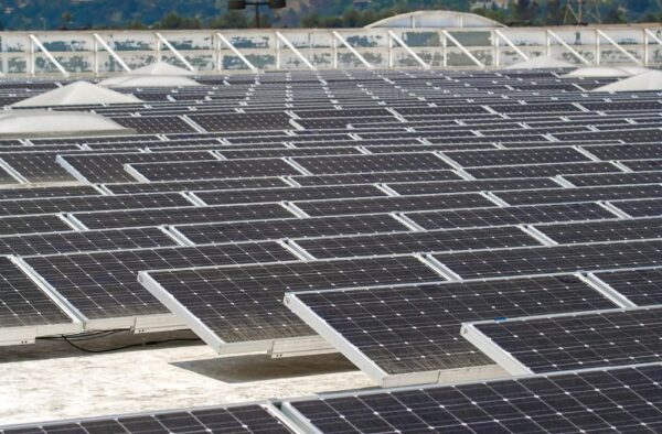 Commercial Solar Solutions for Businesses Looking to Cut Energy Costs